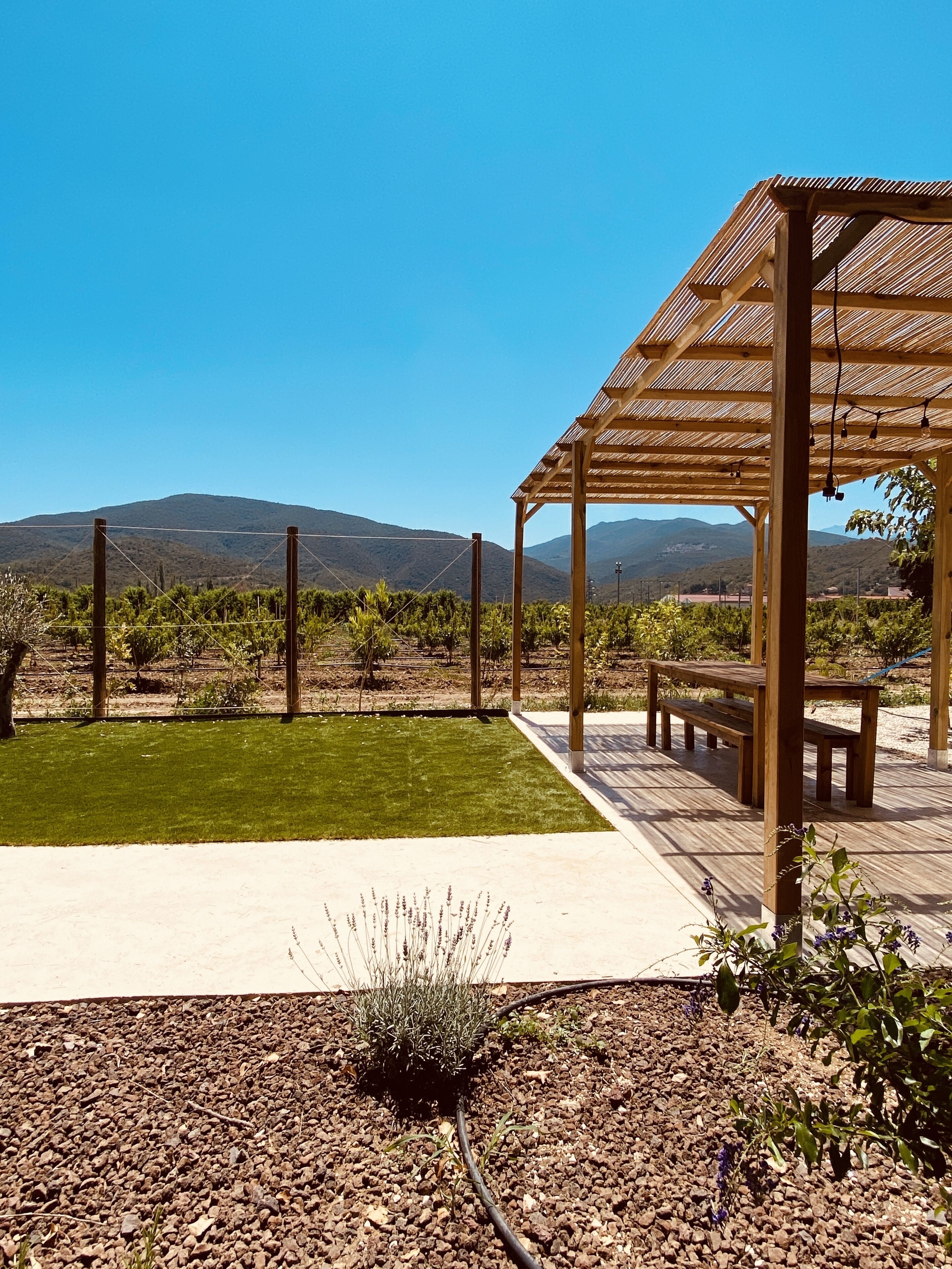 Une pergola en bois avec des bancs, une pelouse et, au fond, un vignoble.