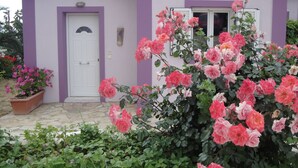 Una casa con fachada morada, una puerta blanca y una ventana. Hay flores rosadas y rojas en el frente.