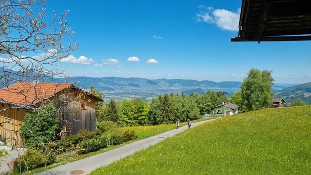 Ländliche Landschaft mit einem befestigten Weg, der zu einem Holzhaus mit rotem Dach führt, umgeben von viel Grün und freiem Blick auf ferne Berge.