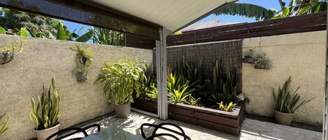 Uma área de varanda coberta com mesa e cadeiras, cercada por plantas em vasos e uma pérgola de madeira.