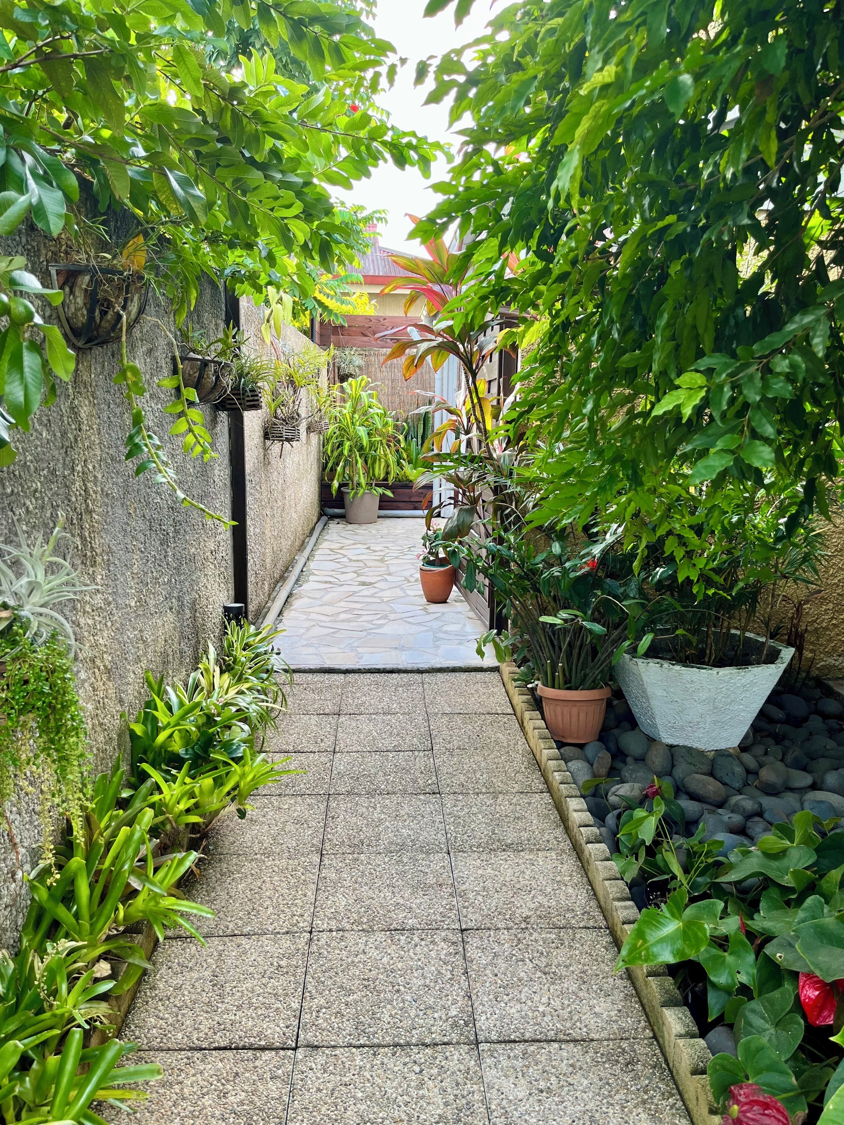 A narrow stone pathway flanked by lush greenery and potted plants, leading to a building with a wooden fence and a thatched roof.