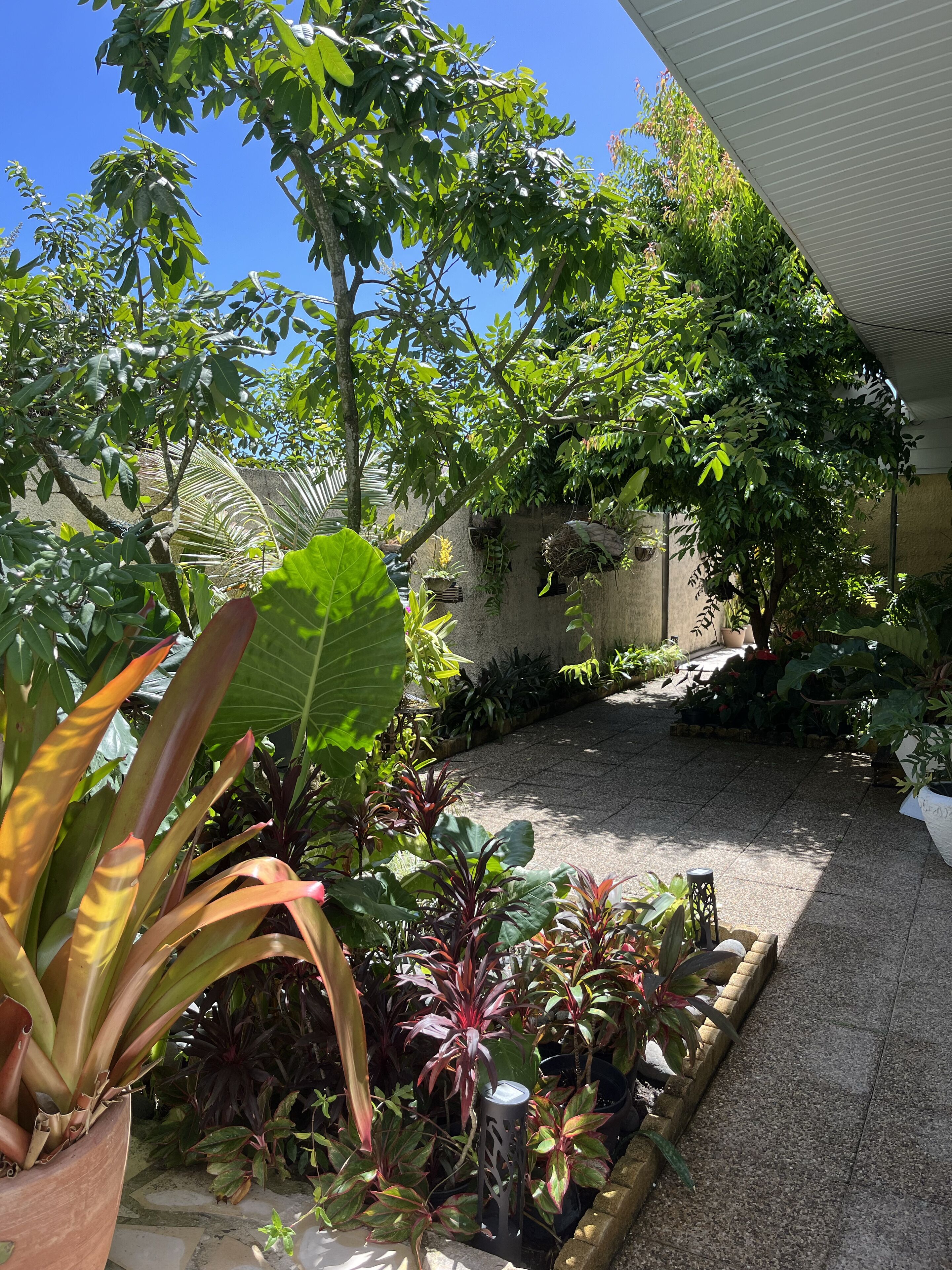 Parco della struttura