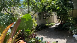 A garden with various plants and a pathway.