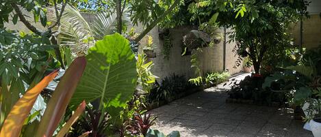 Un giardino con diverse piante e un sentiero.