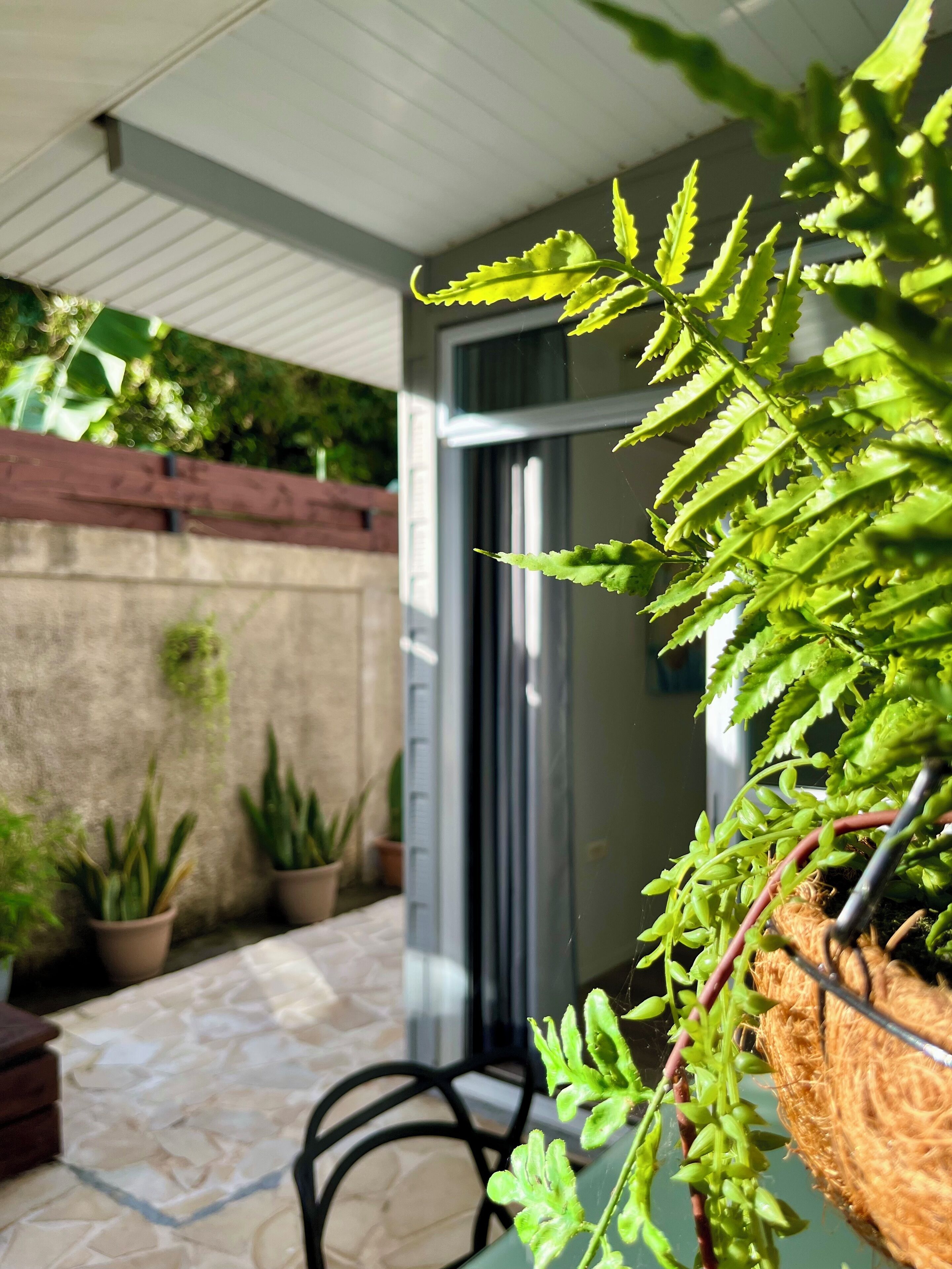 A patio area with a potted fern, a chair, and a table.