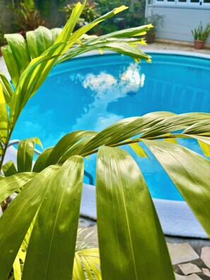 Alberca al aire libre y camastros 