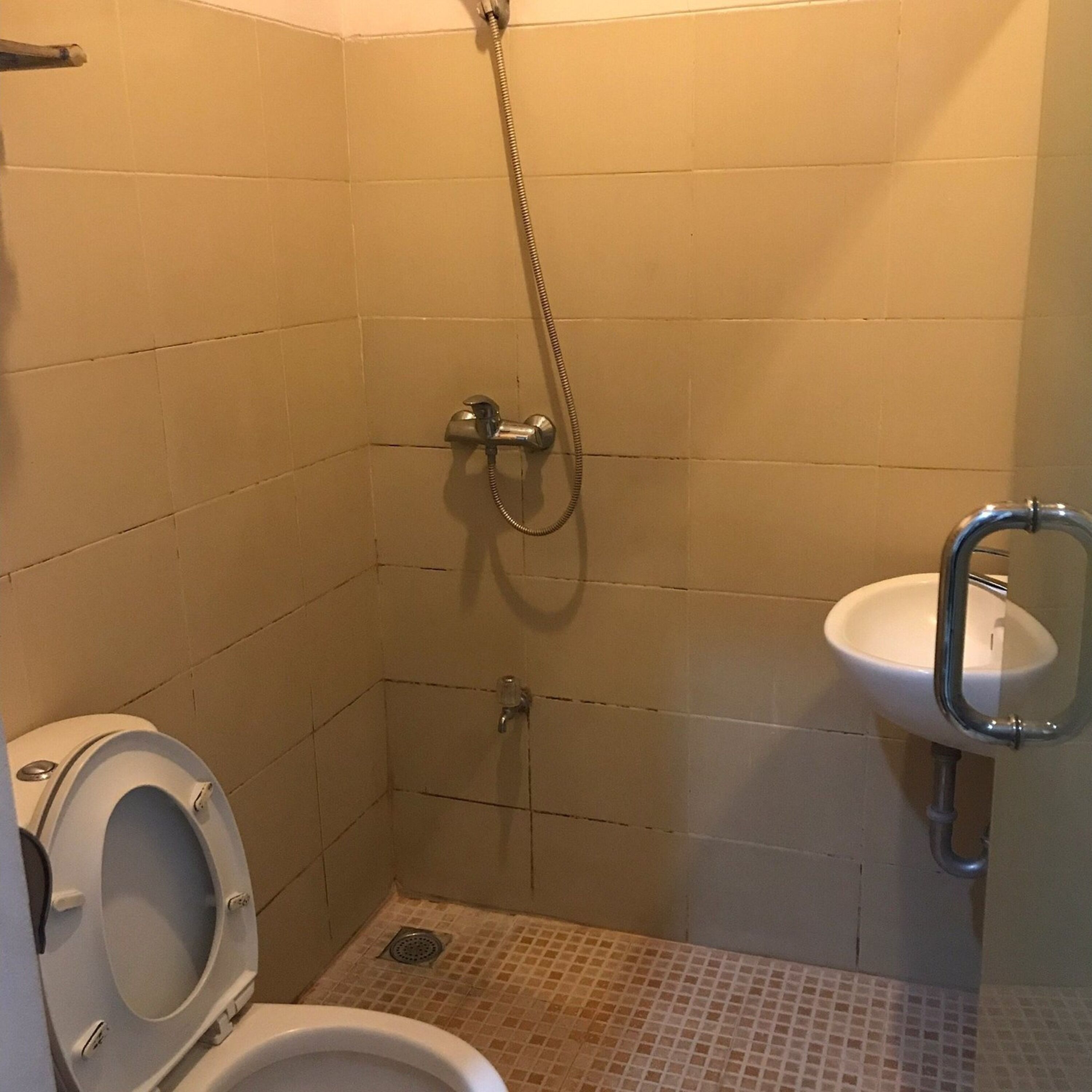 Une petite salle de bain avec des toilettes, une douche et un lavabo.