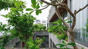 Um edifício moderno com fachada de concreto, rodeado por vegetação exuberante e um pequeno jardim.