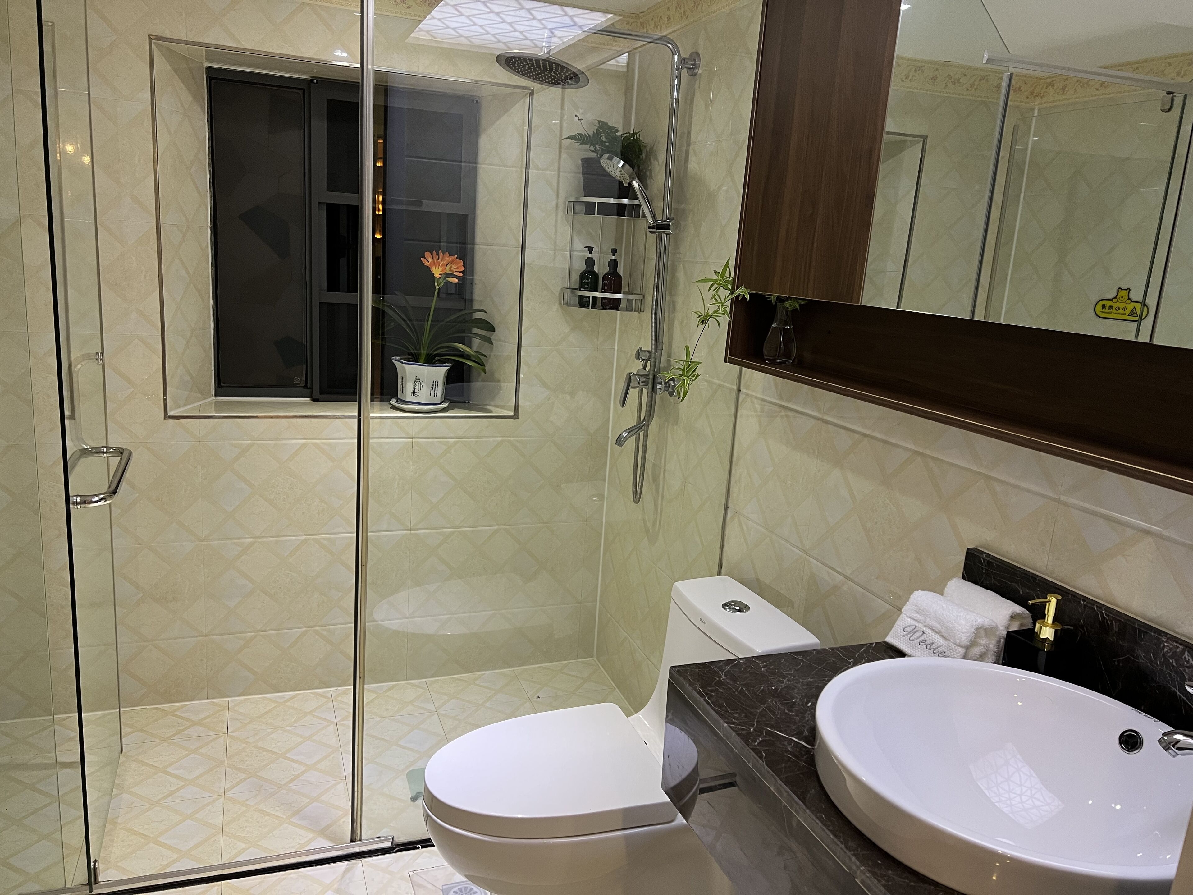 A modern bathroom with a glass-enclosed shower, a toilet, a sink, and a mirror.