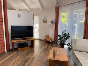 TV connectée, cheminée, livres, chaßne hi-fi