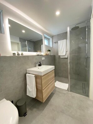 Shower, hair dryer, towels, soap