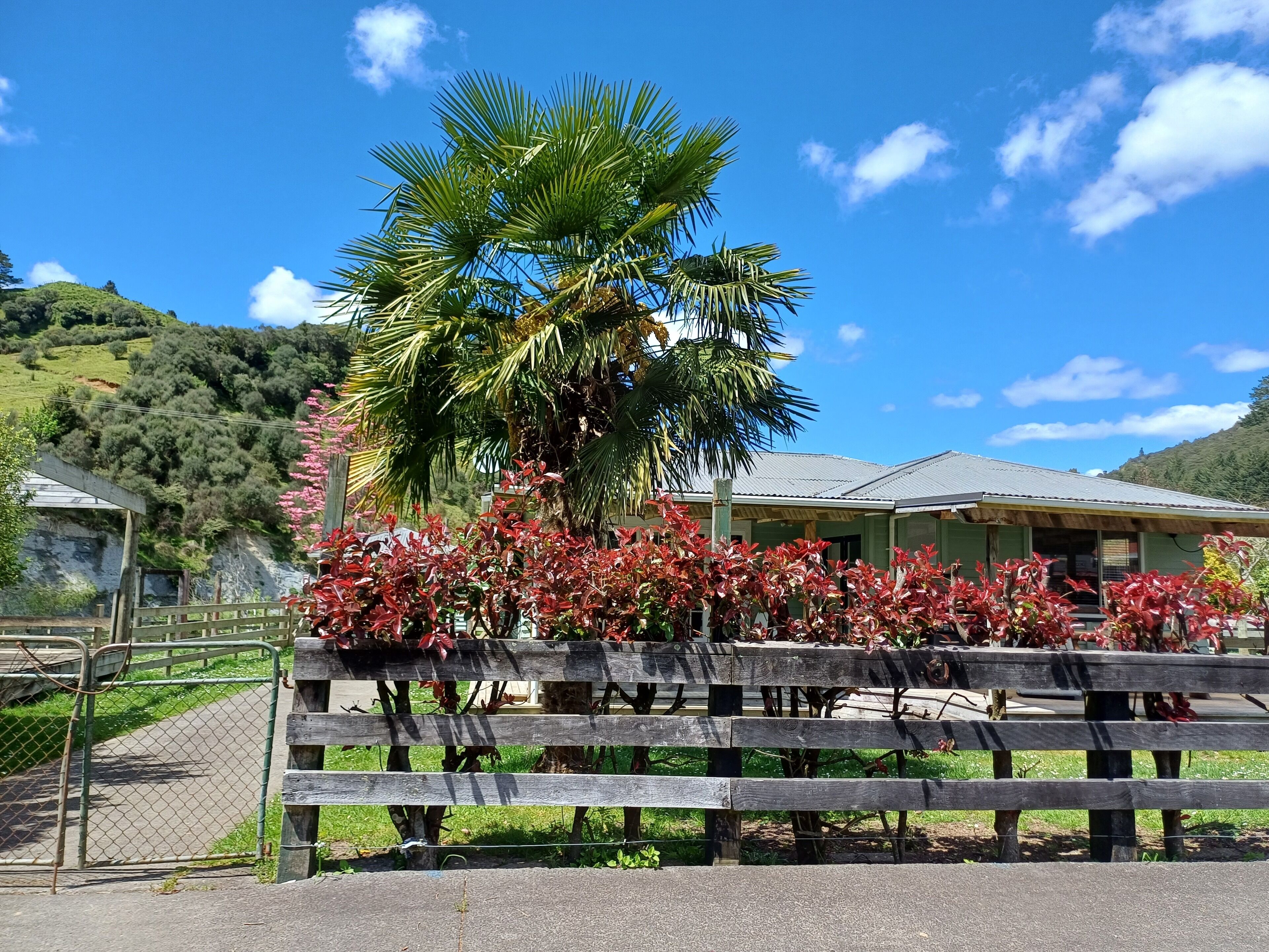 Àrea exterior de l'allotjament