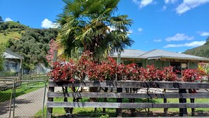 A wooden fence with a palm tree and red foliage in the foreground, a building with a green roof in the background, and a hilly landscape under a clear blue sky.