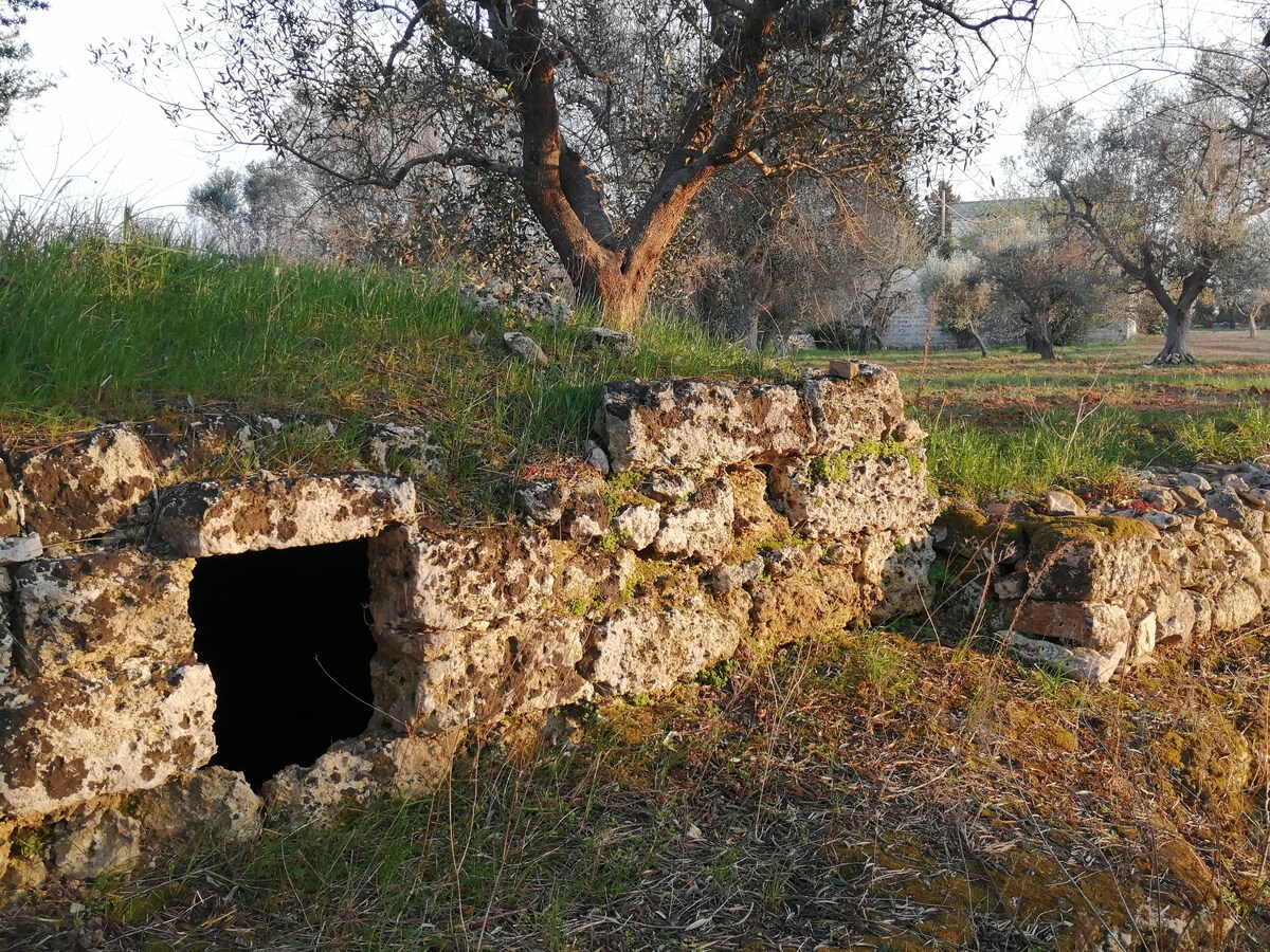 Imagen de perfil del propietario o de la propietaria