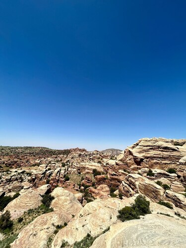 Dana Trail Hotel