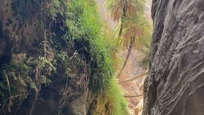 Un estrecho sendero en un cañón, bordeado por acantilados rocosos y vegetación escasa.