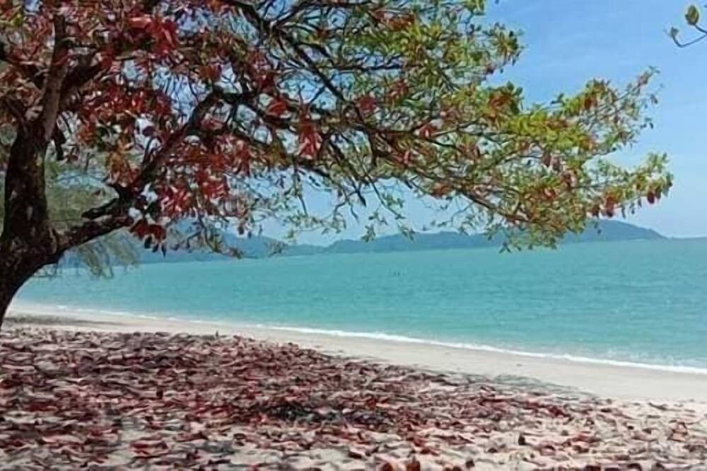 Kamila Teluk Senangin