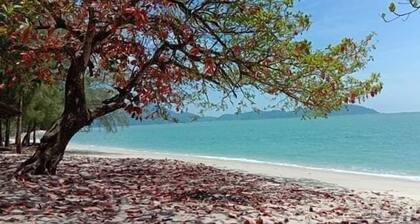 Kamila Teluk Senangin