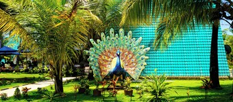 Reecha Kurinji Resort