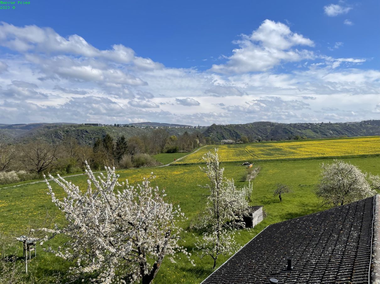 Paisaje rural con árboles en flor, cielo despejado y un pueblo lejano.