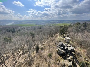 A mountainous landscape with rocky terrain and sparse vegetation. - Gemütliche Fewo, Ruhige Lage Direkt Über dem Rheintal Gegenüber der Loreley (Sankt Goar)