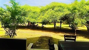 Une vue depuis un espace abrité, avec un banc et une table, donnant sur un jardin avec des arbres et un ciel dégagé.