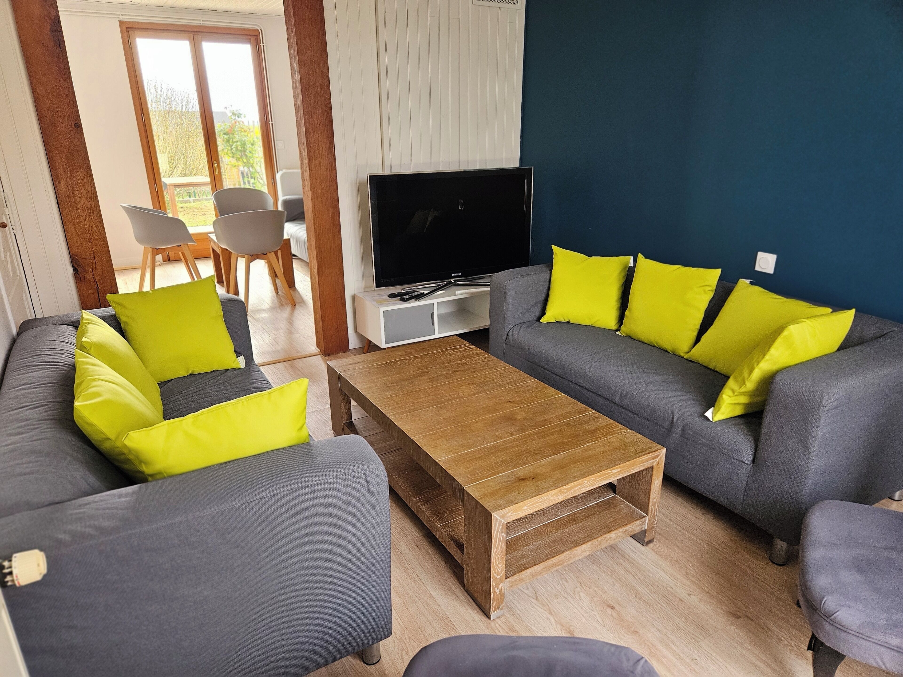 TV, fireplace, ping pong, books