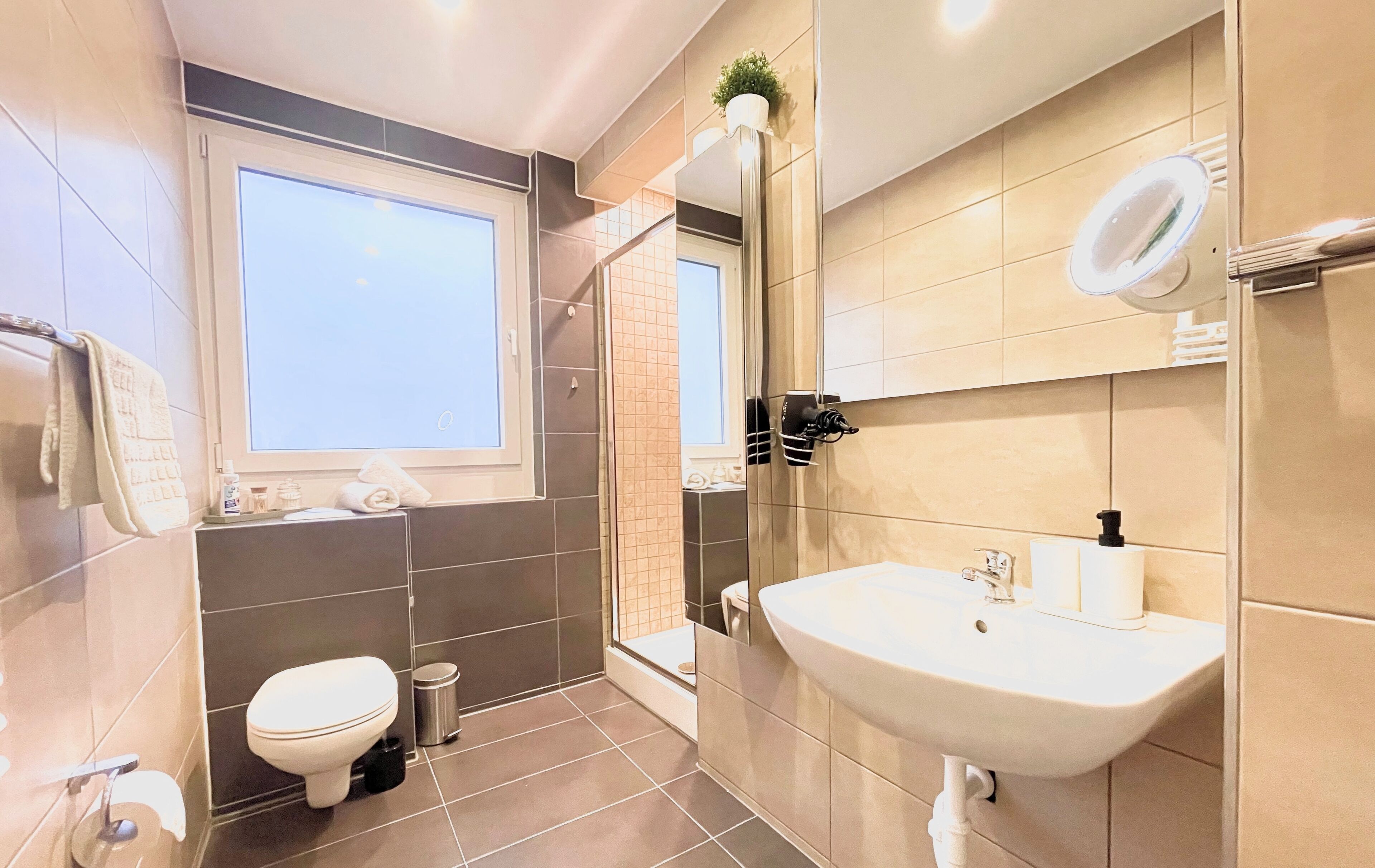 Hair dryer, towels, soap, shampoo