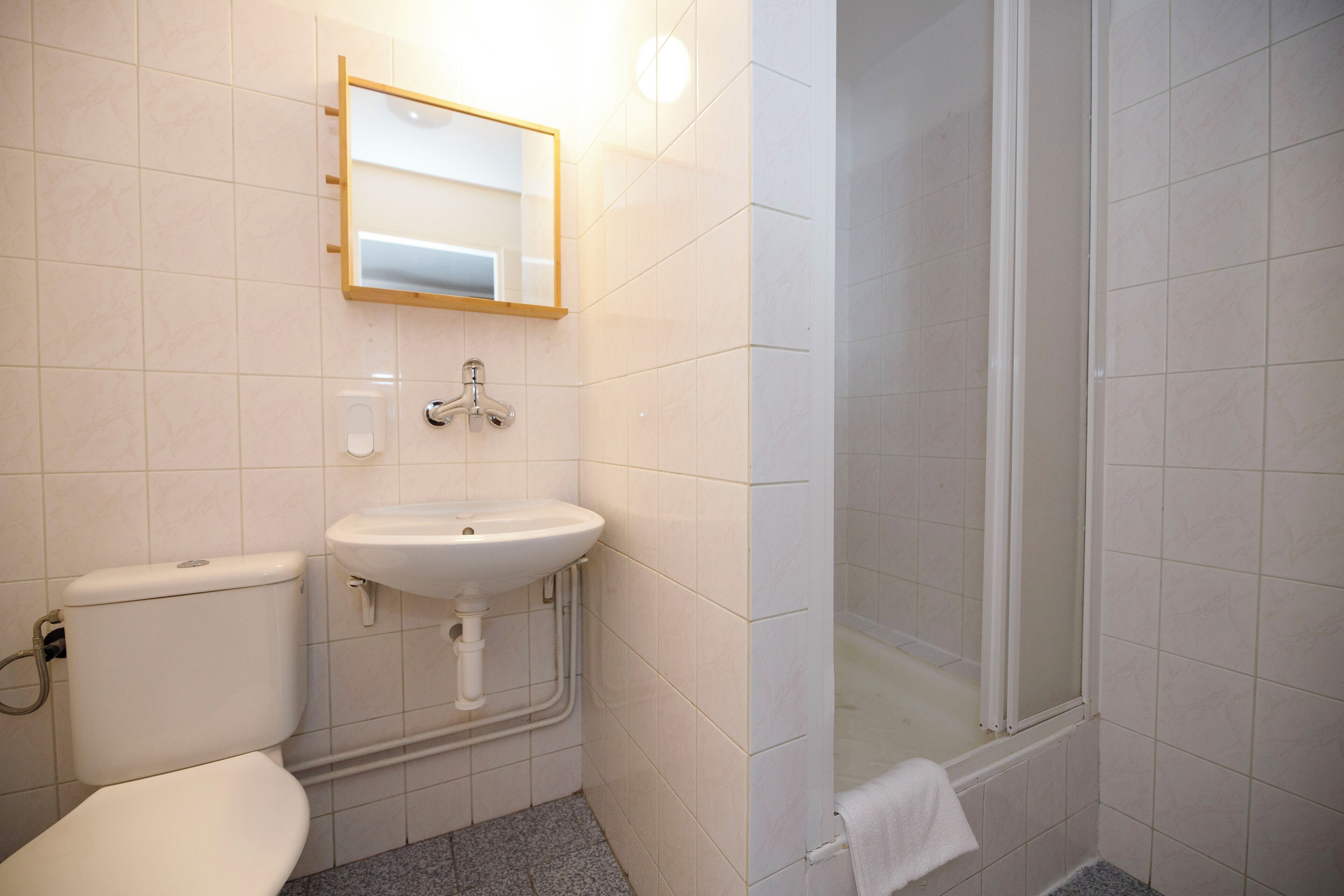 Un baño con inodoro, lavabo y ducha.