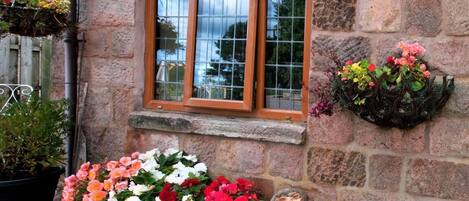 Cottage, 1 Queen Bed | Property grounds