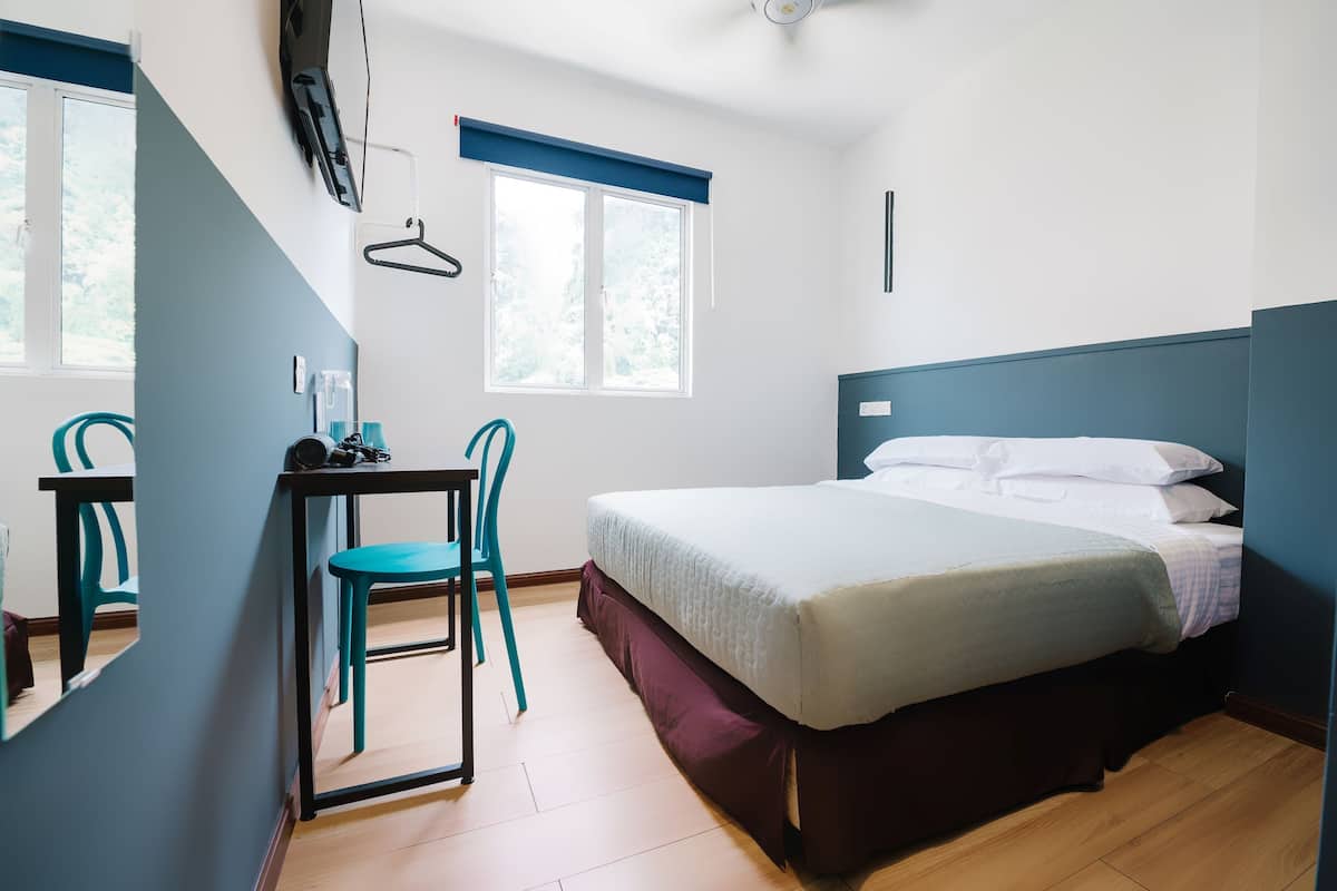 Double Room, 1 Queen Bed, Mountain View