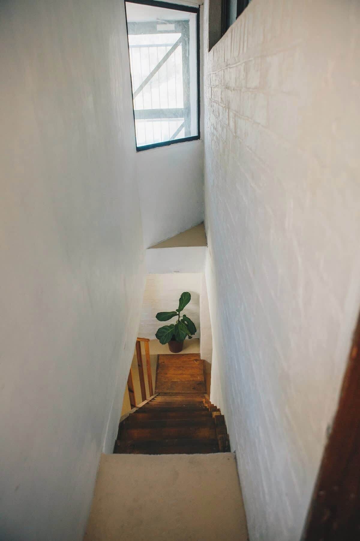 A narrow staircase with a wooden handrail and a potted plant at the bottom.