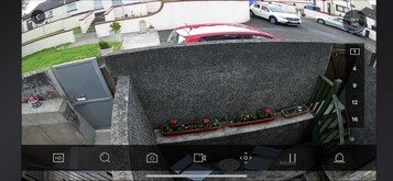 House | Property grounds