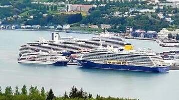 Un gran crucero atracado en un puerto, con un paisaje urbano al fondo.