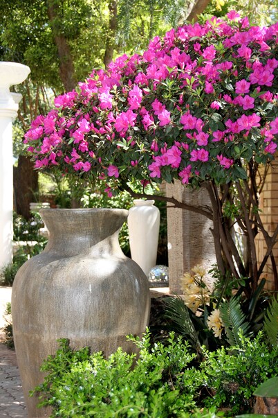 Selati Guesthouse 