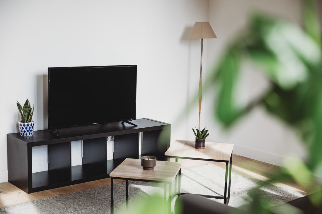 Een moderne woonkamer met een flatscreen televisie op een zwart tv-meubel, een klein houten bijzettafeltje, twee potplanten en een vloerlamp.