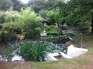 A pond with water lilies, a wooden bridge, and various shrubs.