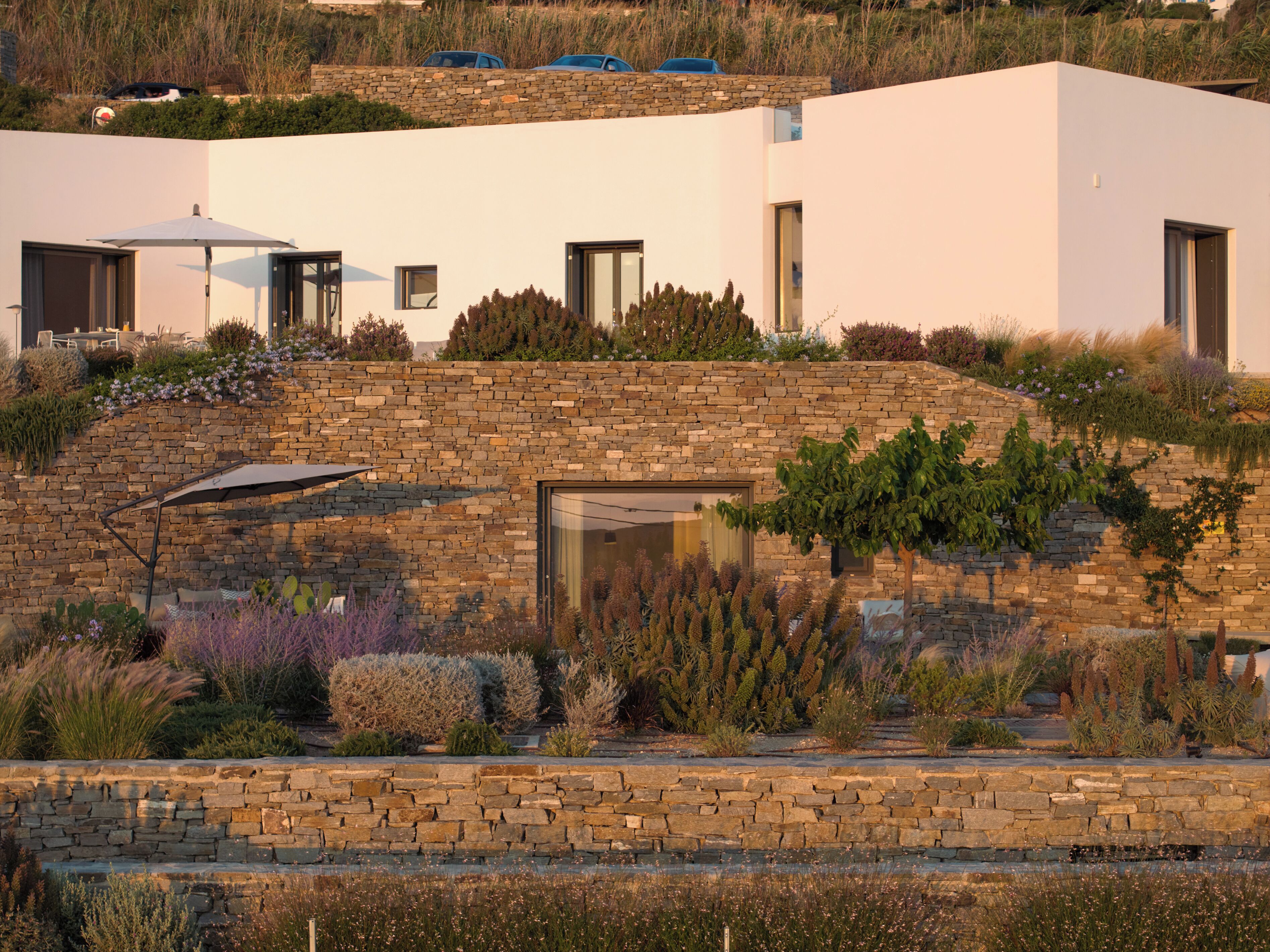 A modern house with a stone facade, large windows, and a garden with various plants.