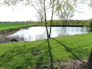Property grounds - La Maison D'angel - Coussay-les-bois (COUSSAY-LES-BOIS)