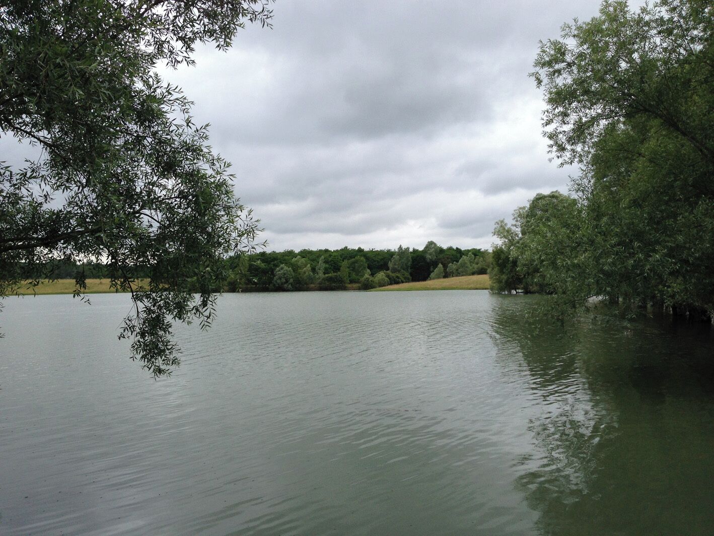A calm lake surrounded by trees.