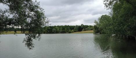 A calm lake surrounded by trees.