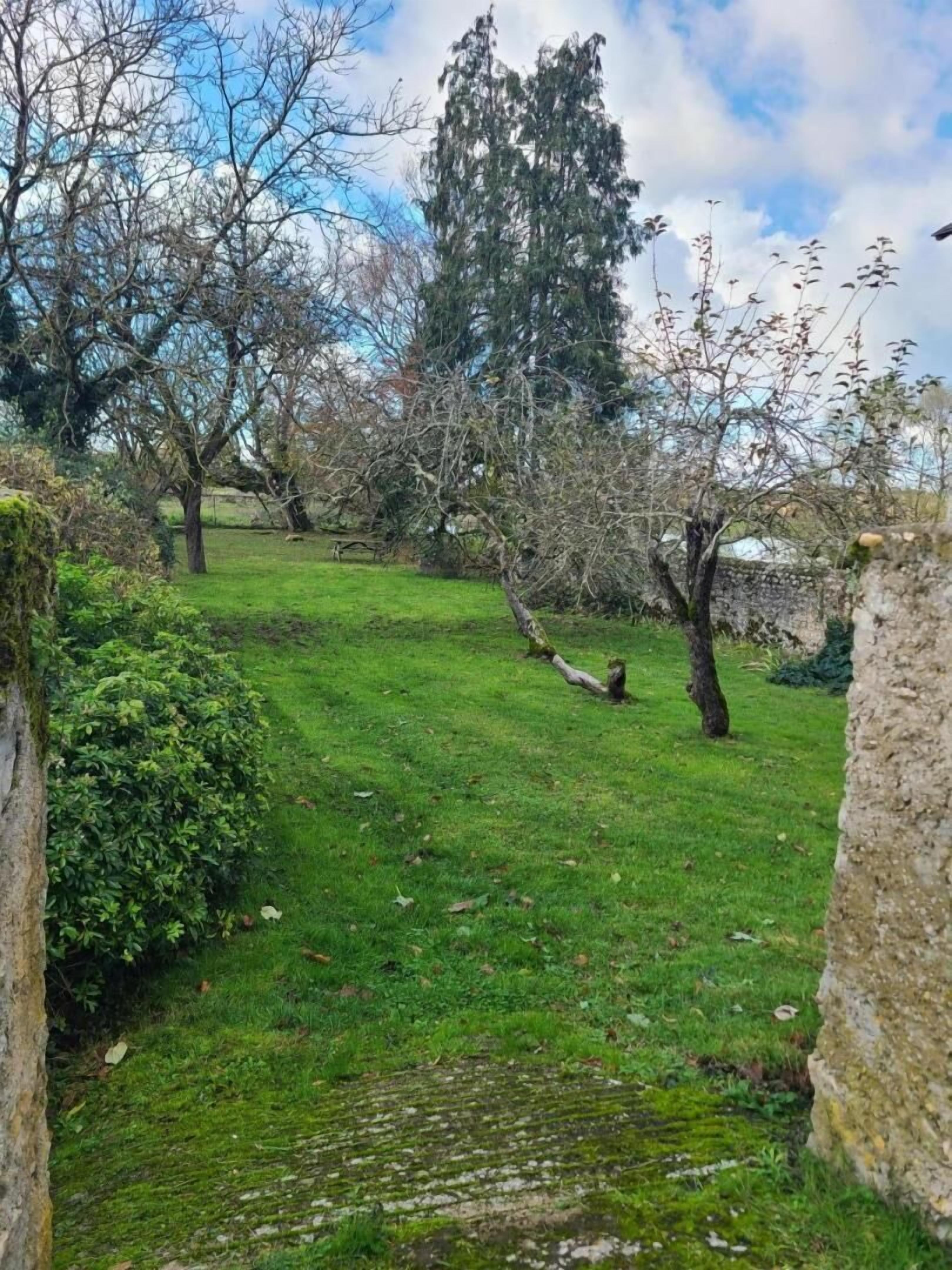A grassy outdoor area with trees and a stone wall.