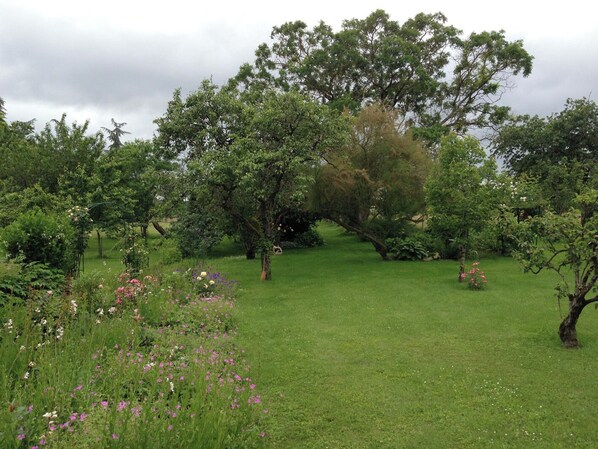 A garden with various trees and flowering plants. - La Maison du Régisseur (VALDIVIENNE)