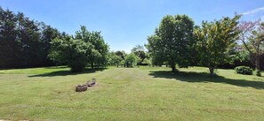 A grassy outdoor area with trees and a few scattered objects.