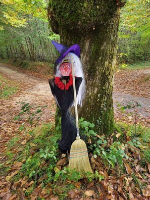 Uma pessoa vestida a figurino segurando uma vassoura em meio à floresta.