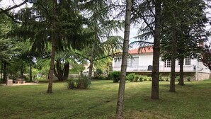 Property grounds - Gîte du Parc - Chaunay (CHAUNAY)