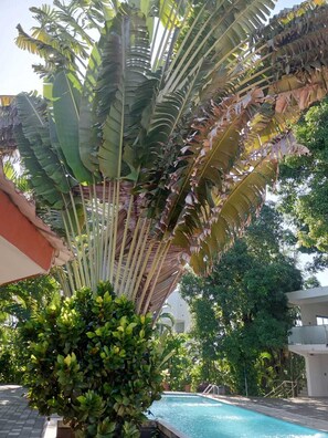 Room - Le Tropicana (Mahajanga)