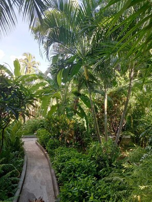 Unclassified image, 3 of 17, button - Le Tropicana (Mahajanga)