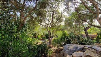 Jardines del alojamiento