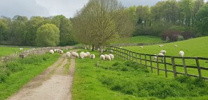 Sports court - Charming cottage in the heart of the Cotswolds (Cirencester)